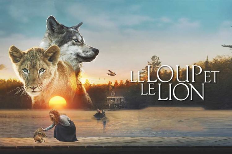 Inédit "Le loup et le lion" de Gilles de Maistre sera diffusé sur M6 vendredi 29 mars 2024 - Vidéo