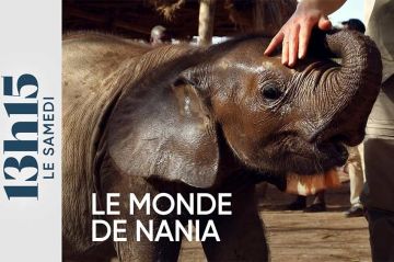 Sommaire de &quot;13h15 le samedi&quot; du 6 juillet 2024 sur France 2 : Le monde de Nania / L&#039;anniversaire du chef