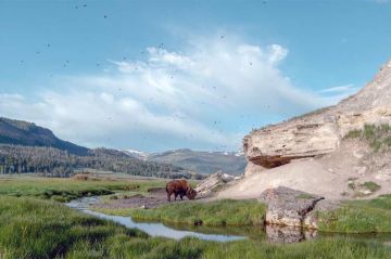 « Yellowstone - Nature extrême » 2ème partie diffusée sur ARTE samedi 13 juillet 2024 (vidéo)
