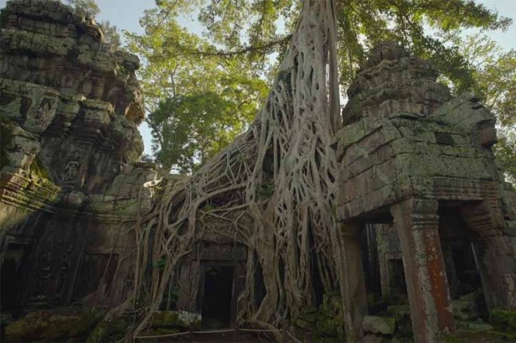 « Angkor et les mystères de l'Empire khmer » à revoir sur France 5 jeudi 20 juin 2024 (vidéo)